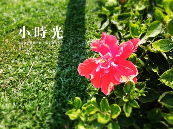 第1055页