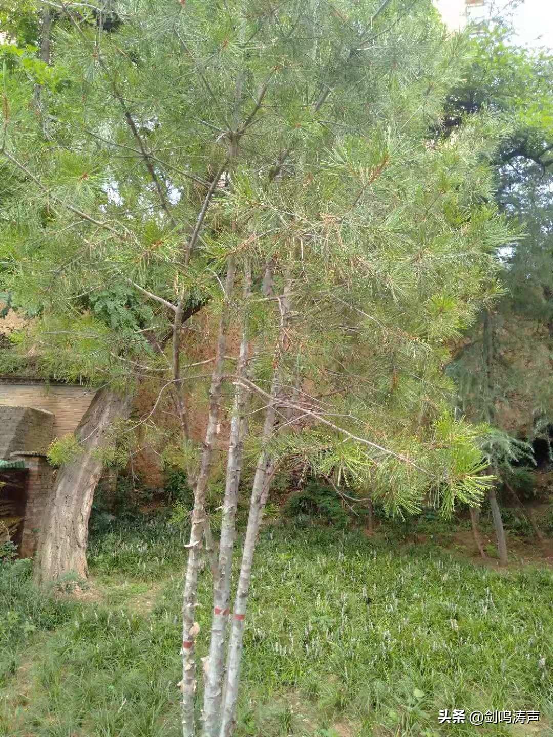 运输服务 第93页