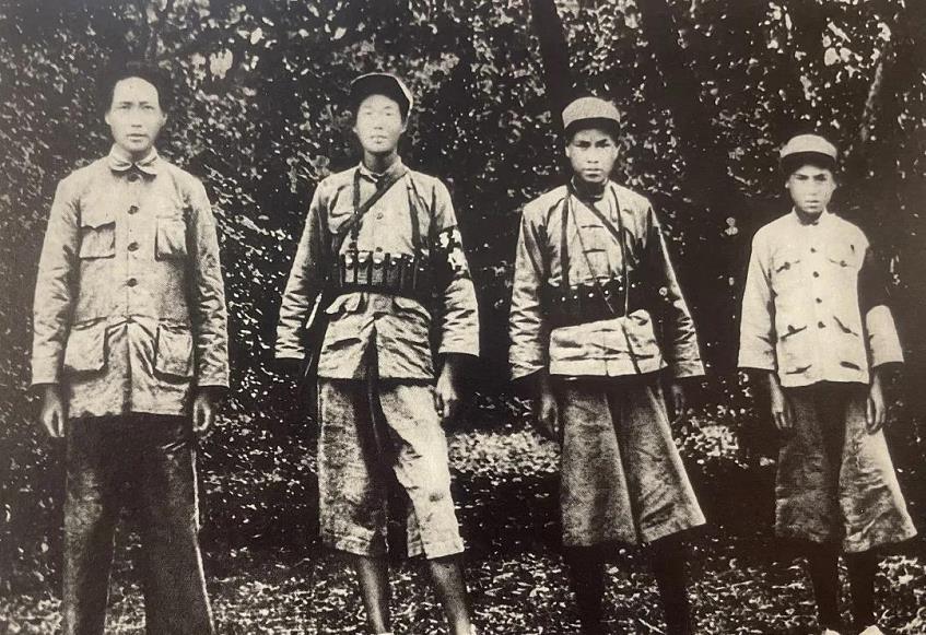 运输服务 第15页