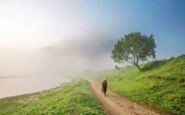 CCBD最新，自然美景探险之旅，探寻内心平静的魔法之地